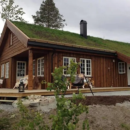 Large Luxury In Hemsedal Golfalpin Feriehus