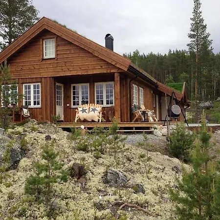 Large Luxury In Hemsedal Golfalpin Gol