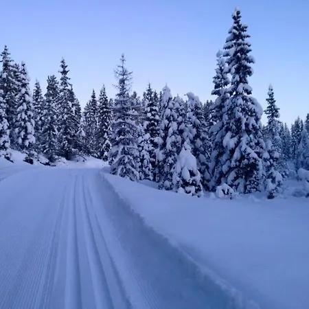 Σπίτι διακοπών Large Luxury In Hemsedal Golfalpin Gol