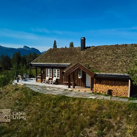 Large Luxury In Hemsedal Golfalpin